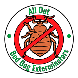 All Out Exterminating Bed Bug Exterminators Brooklyn